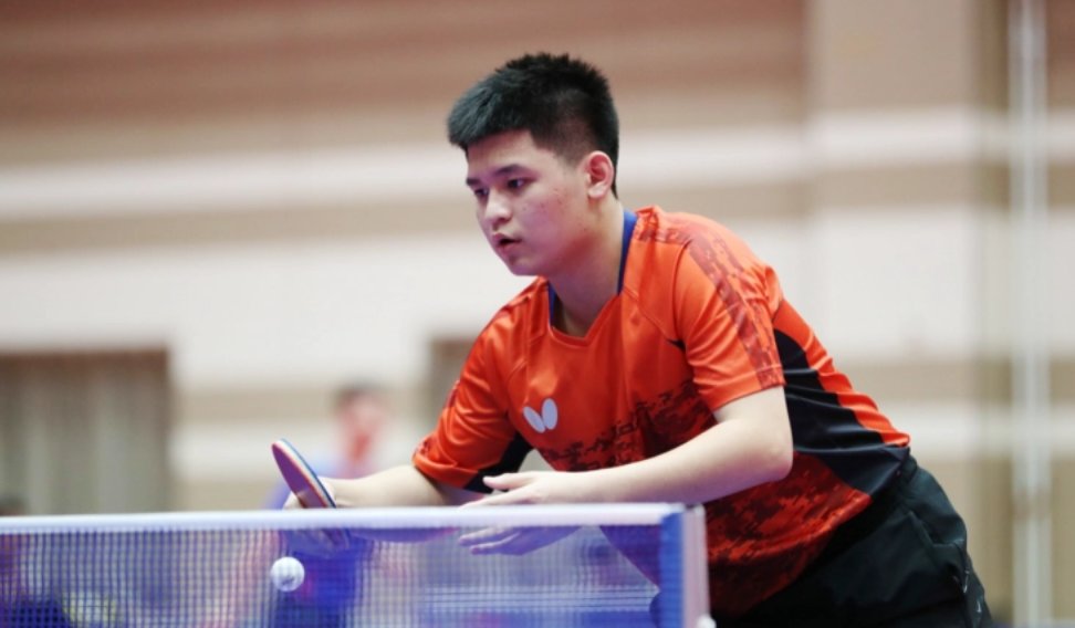 在日本羽毛 在日本羽毛